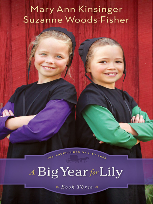Title details for A Big Year for Lily by Mary Ann Kinsinger - Available